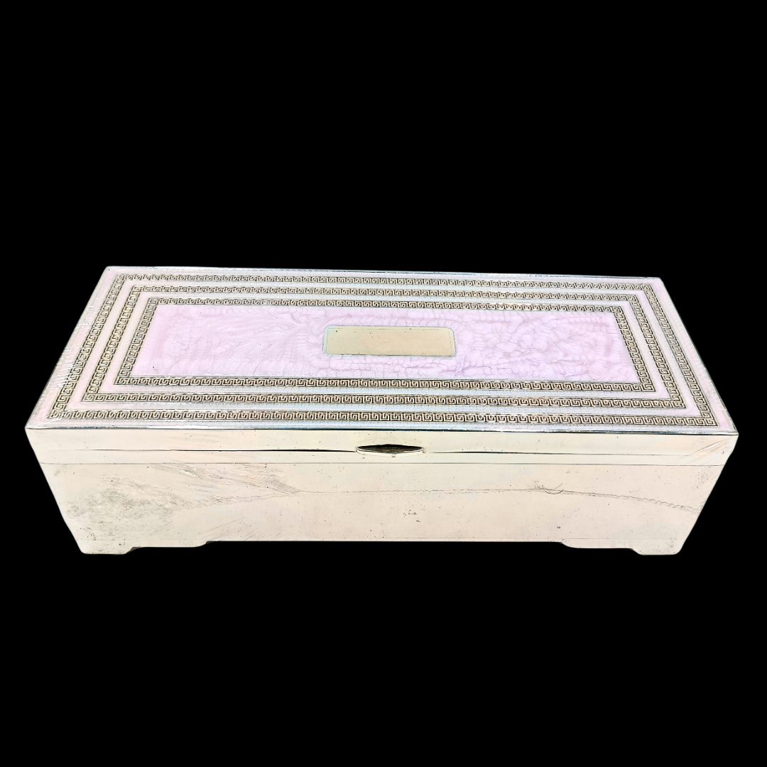 Luxury Silver Plated Jewellery Box & Velvet Finish | 22 × 9 × 6 cm | 670 g