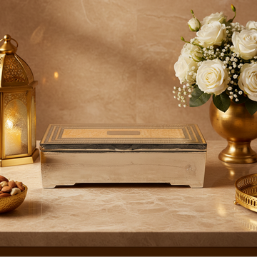 Luxury Silver Plated Jewellery Box & Velvet Finish | 22 × 9 × 6 cm | 670 g