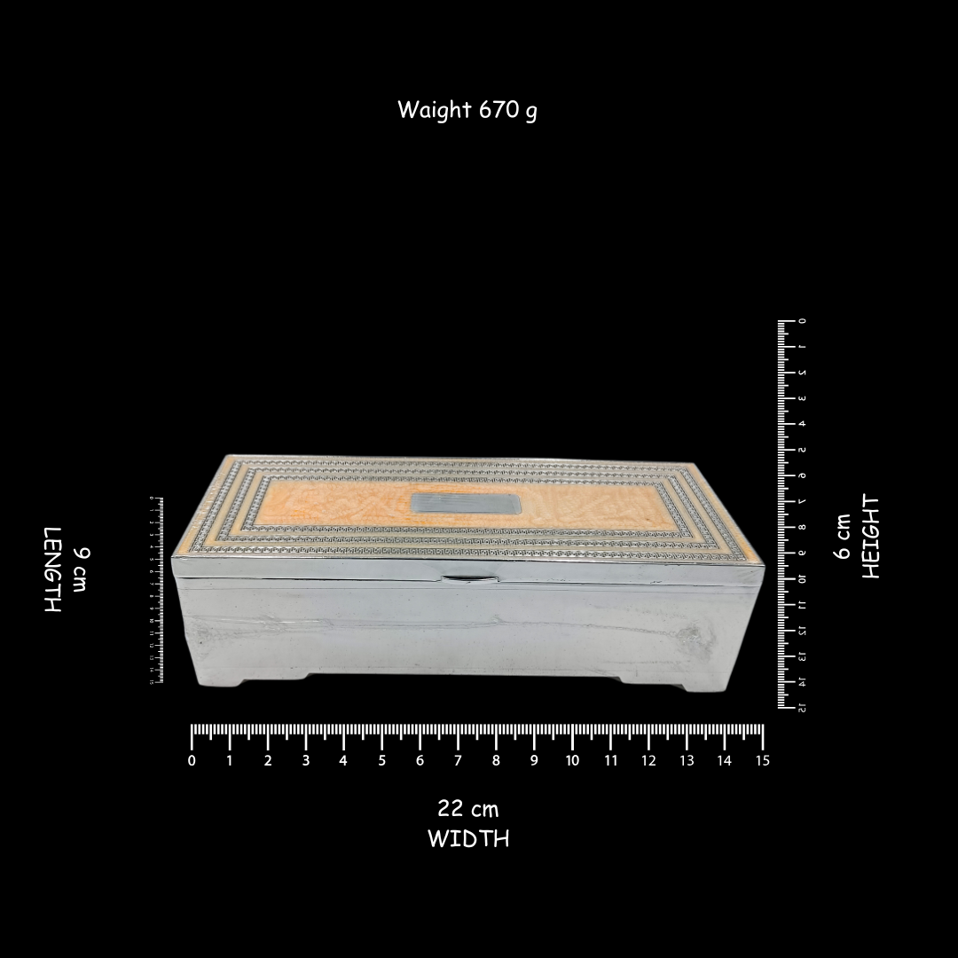 Luxury Silver Plated Jewellery Box & Velvet Finish | 22 × 9 × 6 cm | 670 g