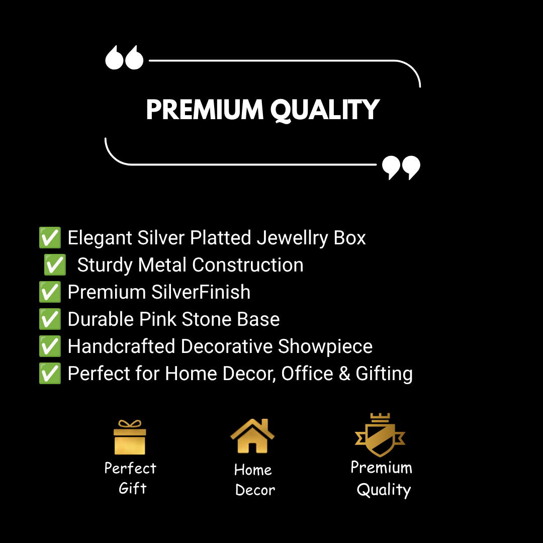 Luxury Silver Plated Jewellery Box & Velvet Finish | 22 × 9 × 6 cm | 670 g